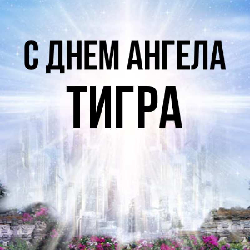 Картинка С днем ангела, Тигра