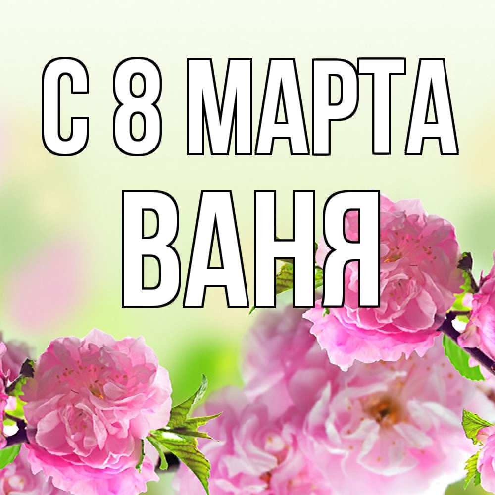 Открытка на каждый день с именем, Ваня C 8 МАРТА цветы Прикольная открытка с пожеланием онлайн скачать бесплатно 