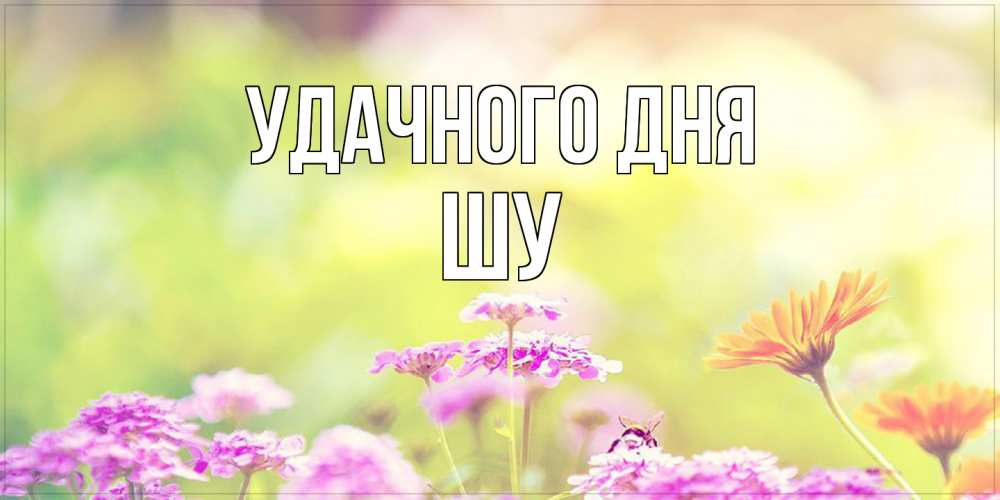 Открытка на каждый день с именем, Шу Удачного дня красивая открытка с летней темой Прикольная открытка с пожеланием онлайн скачать бесплатно 