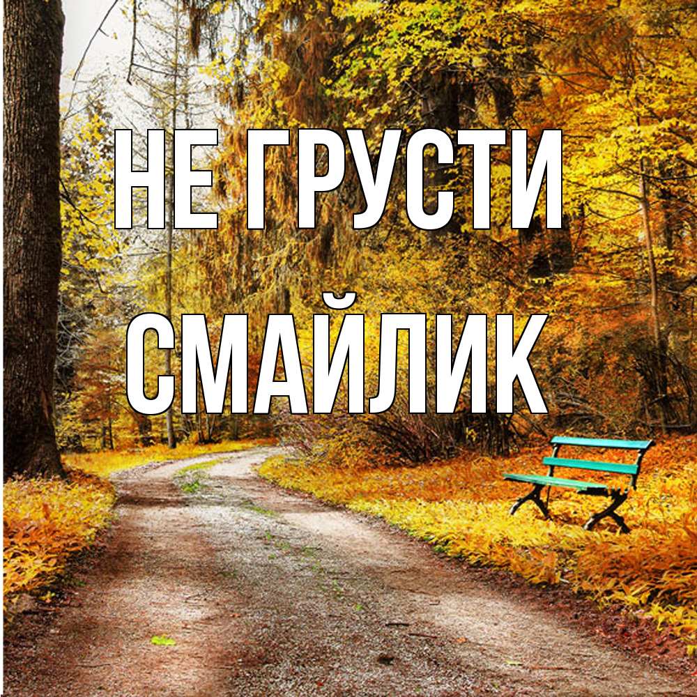 Открытка на каждый день с именем, Смайлик Не грусти зеленая лавочка Прикольная открытка с пожеланием онлайн скачать бесплатно 