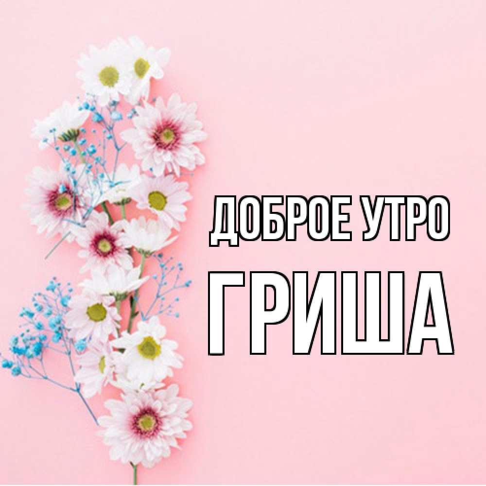Открытка на каждый день с именем, Гриша Доброе утро цветы с подписью Прикольная открытка с пожеланием онлайн скачать бесплатно 