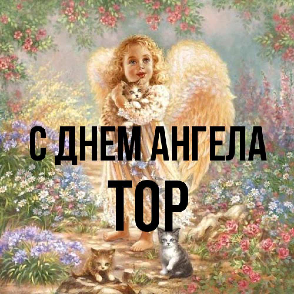 Открытка на каждый день с именем, Тор С днем ангела держит котенка Прикольная открытка с пожеланием онлайн скачать бесплатно 