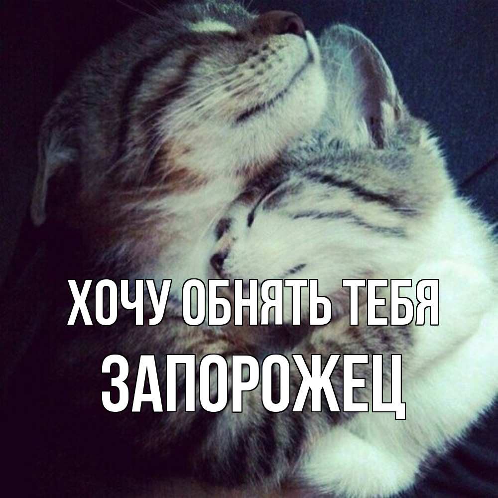 Открытка на каждый день с именем, Запорожец Хочу обнять тебя полосатики Прикольная открытка с пожеланием онлайн скачать бесплатно 