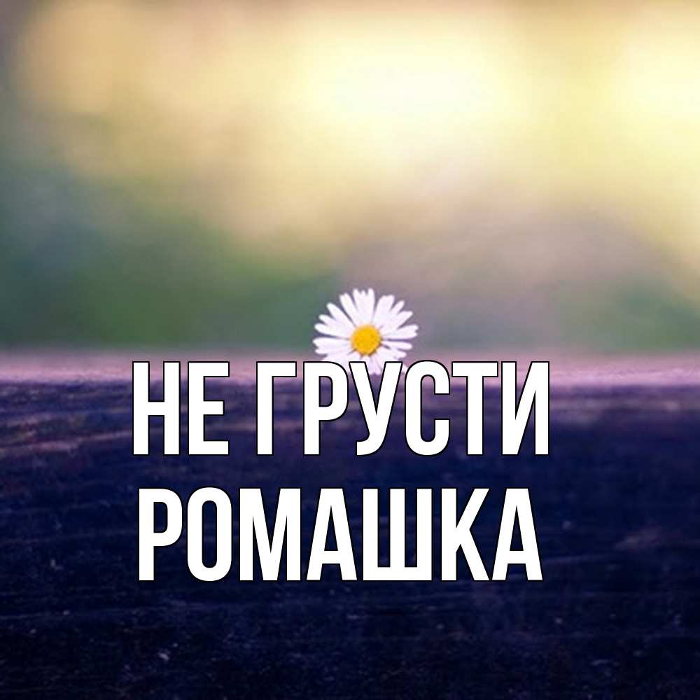 Открытка на каждый день с именем, Ромашка Не грусти красота Прикольная открытка с пожеланием онлайн скачать бесплатно 