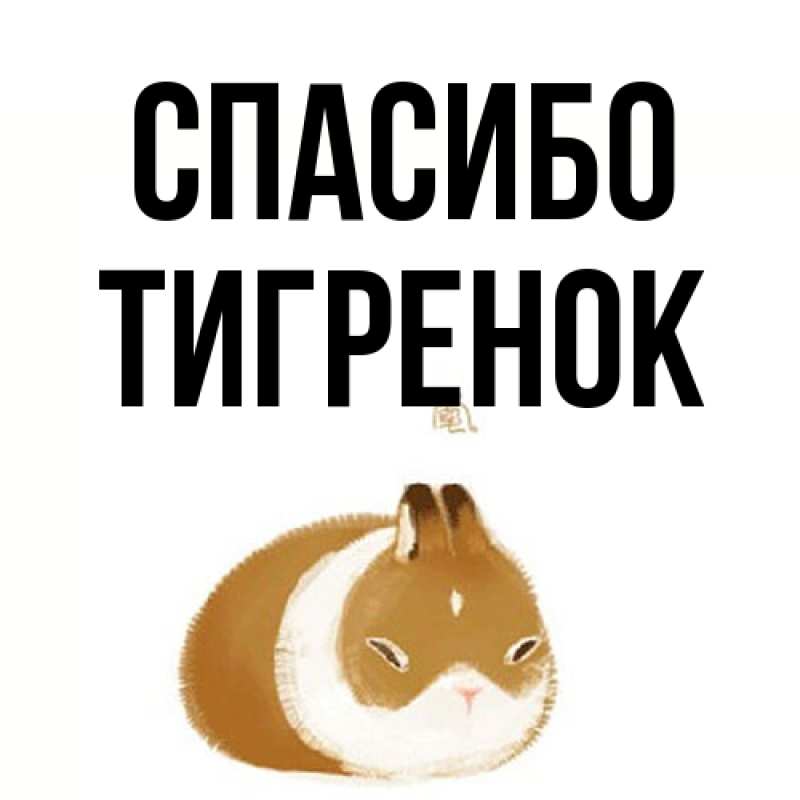 Картинка Спасибо, Тигpенок