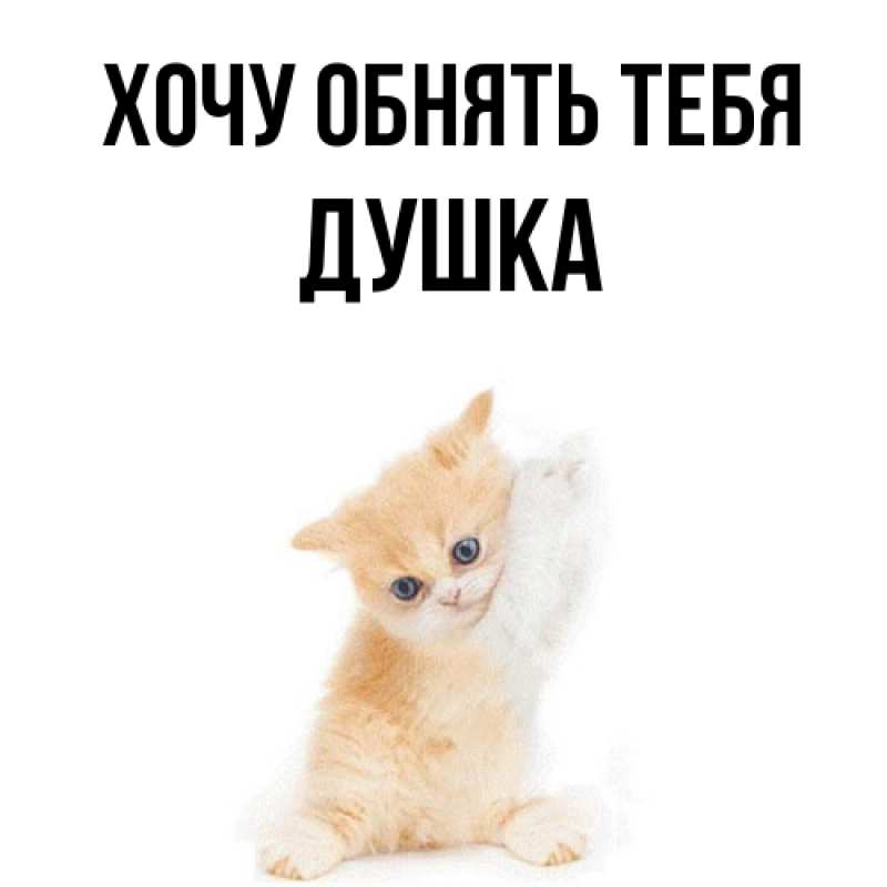 Картинка Хочу обнять тебя, Душка
