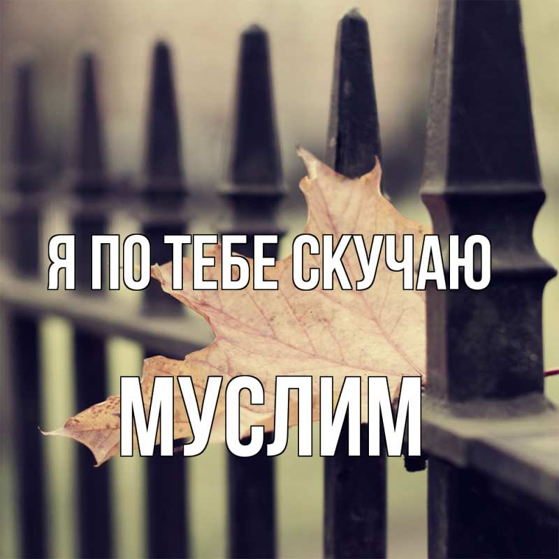 Открытка с именем, Муслим, Я по тебе скучаю