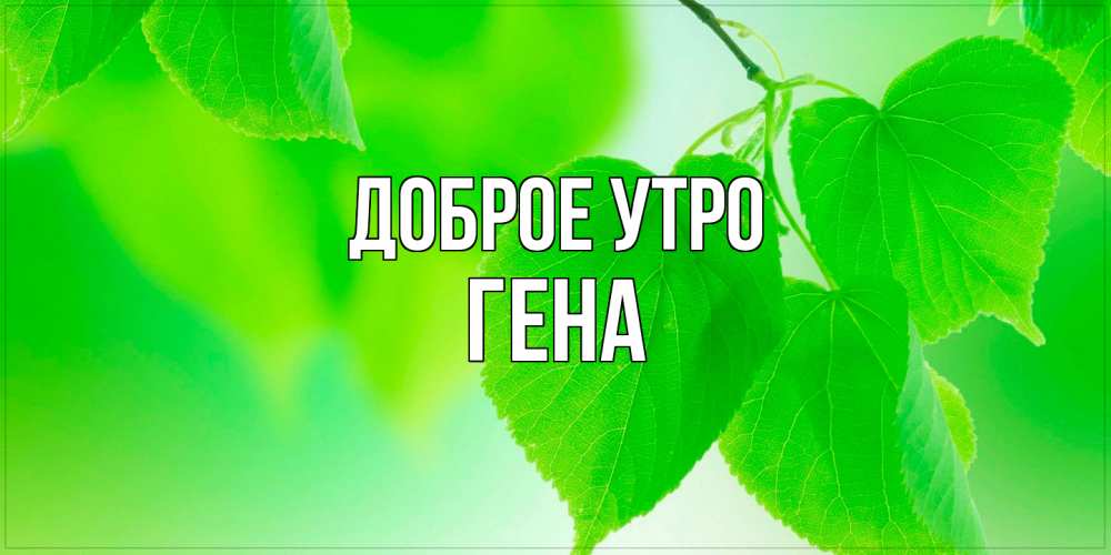 Открытка на каждый день с именем, Гена Доброе утро доброе утро с березовыми листьями Прикольная открытка с пожеланием онлайн скачать бесплатно 