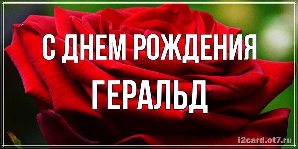 Открытка на каждый день с именем, Геральд С днем рождения розочка очень красивая Прикольная открытка с пожеланием онлайн скачать бесплатно 