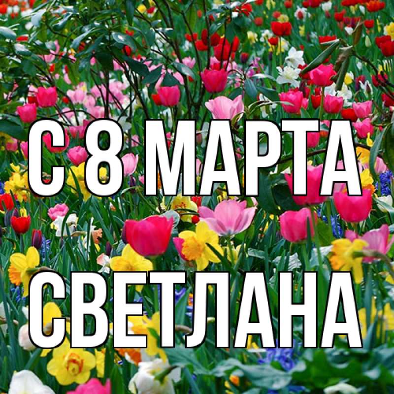 Картинка C 8 МАРТА, Светлана