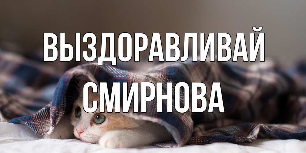 Открытка на каждый день с именем, Смирнова Выздоравливай не болейте с котиком Прикольная открытка с пожеланием онлайн скачать бесплатно 