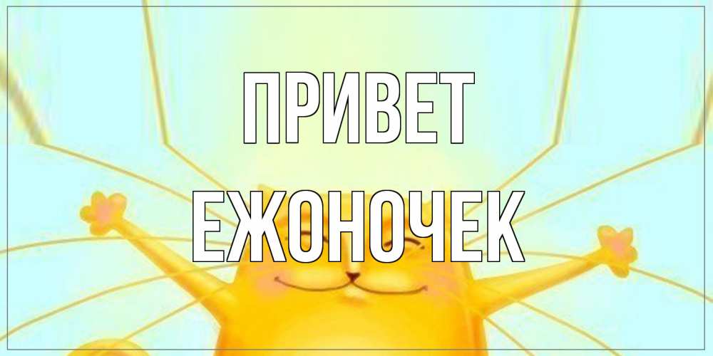 Открытка на каждый день с именем, Ежоночек Привет кот Прикольная открытка с пожеланием онлайн скачать бесплатно 