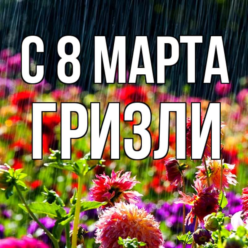 Картинка C 8 МАРТА, Гризли