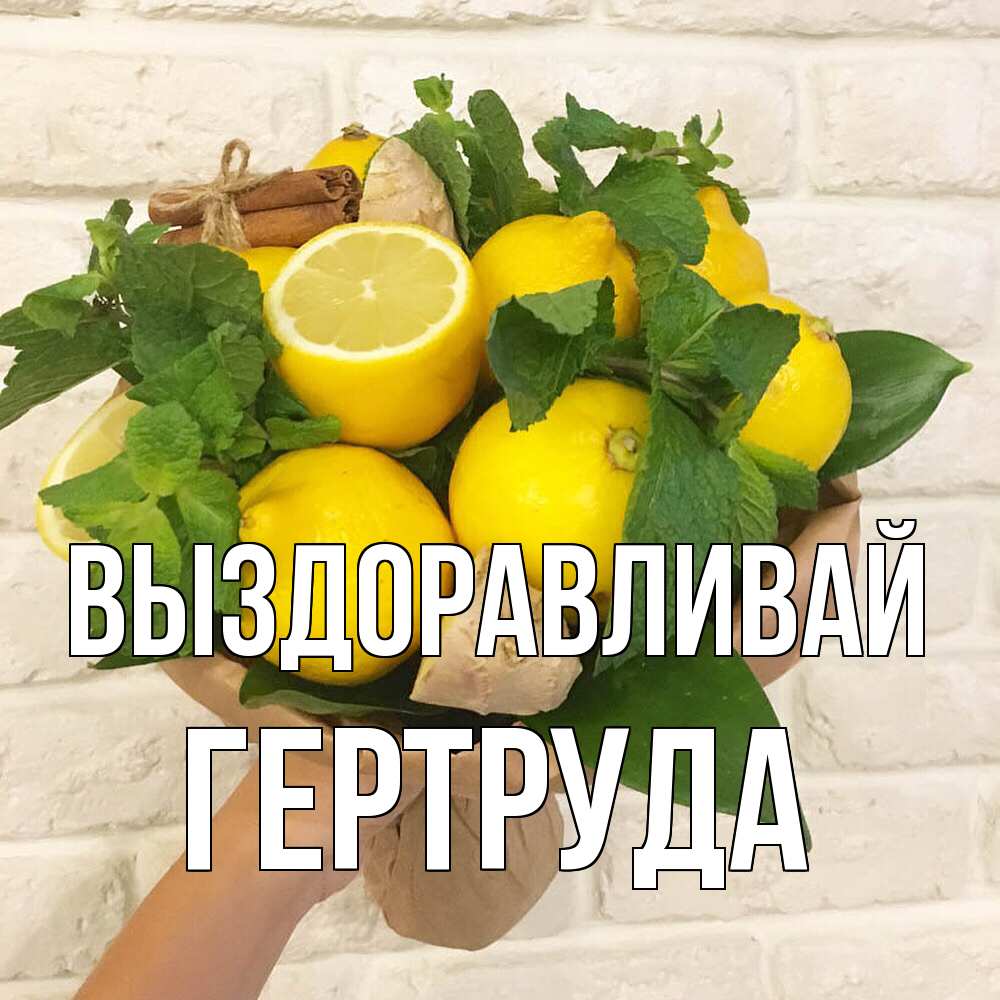 Открытка на каждый день с именем, Гертруда Выздоравливай витамины Прикольная открытка с пожеланием онлайн скачать бесплатно 