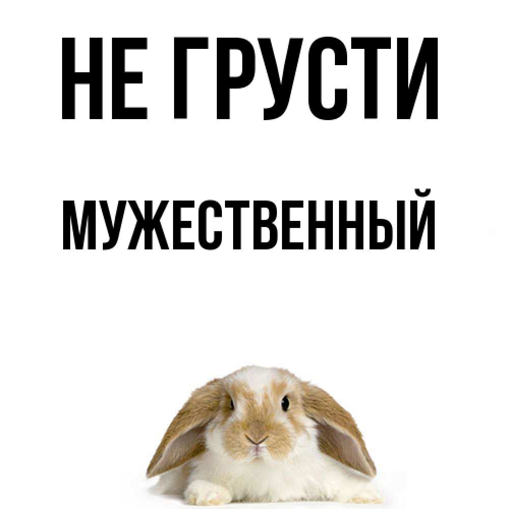 Открытка на каждый день с именем, Мужественный Не грусти коричнево белый заяц с большими ушками Прикольная открытка с пожеланием онлайн скачать бесплатно 