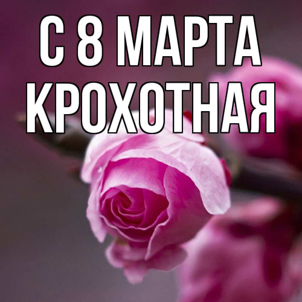 Открытка на каждый день с именем, Крохотная C 8 МАРТА весна Прикольная открытка с пожеланием онлайн скачать бесплатно 