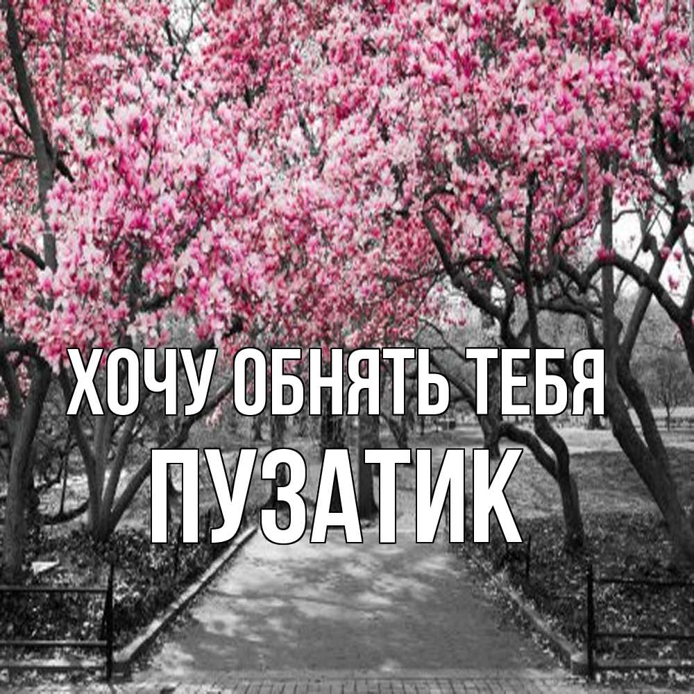 Открытка на каждый день с именем, Пузатик Хочу обнять тебя обработанное фото Прикольная открытка с пожеланием онлайн скачать бесплатно 