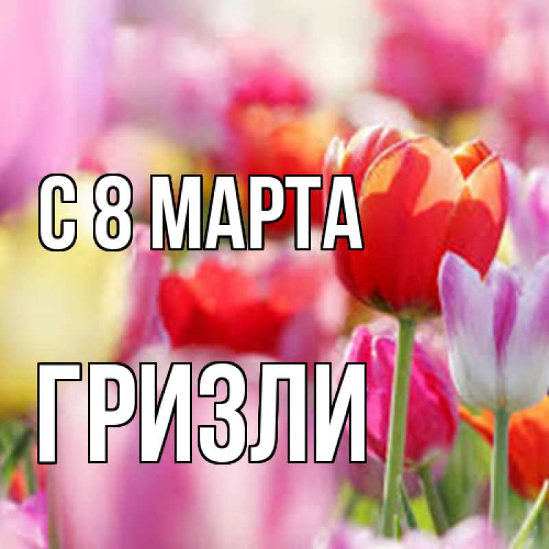 Картинка C 8 МАРТА, Гризли