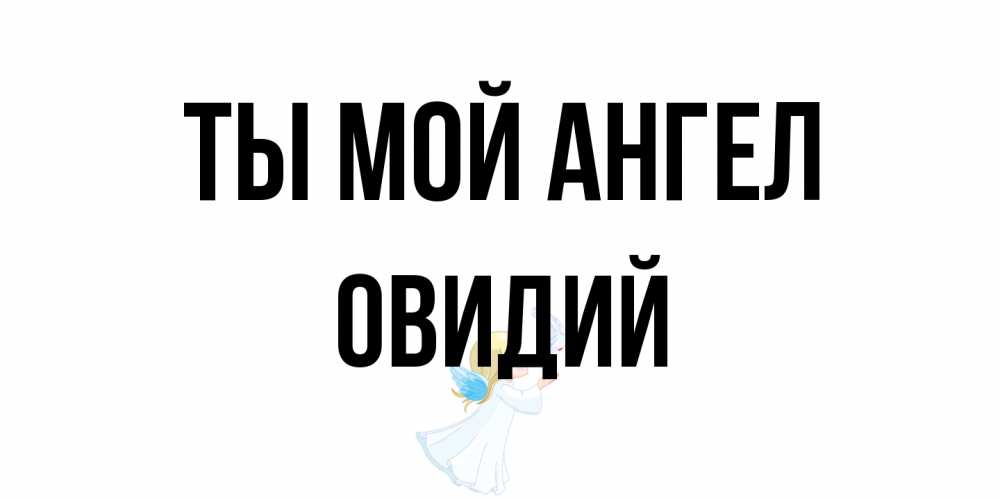 Открытка на каждый день с именем, Овидий Ты мой ангел ангел, голубь Прикольная открытка с пожеланием онлайн скачать бесплатно 