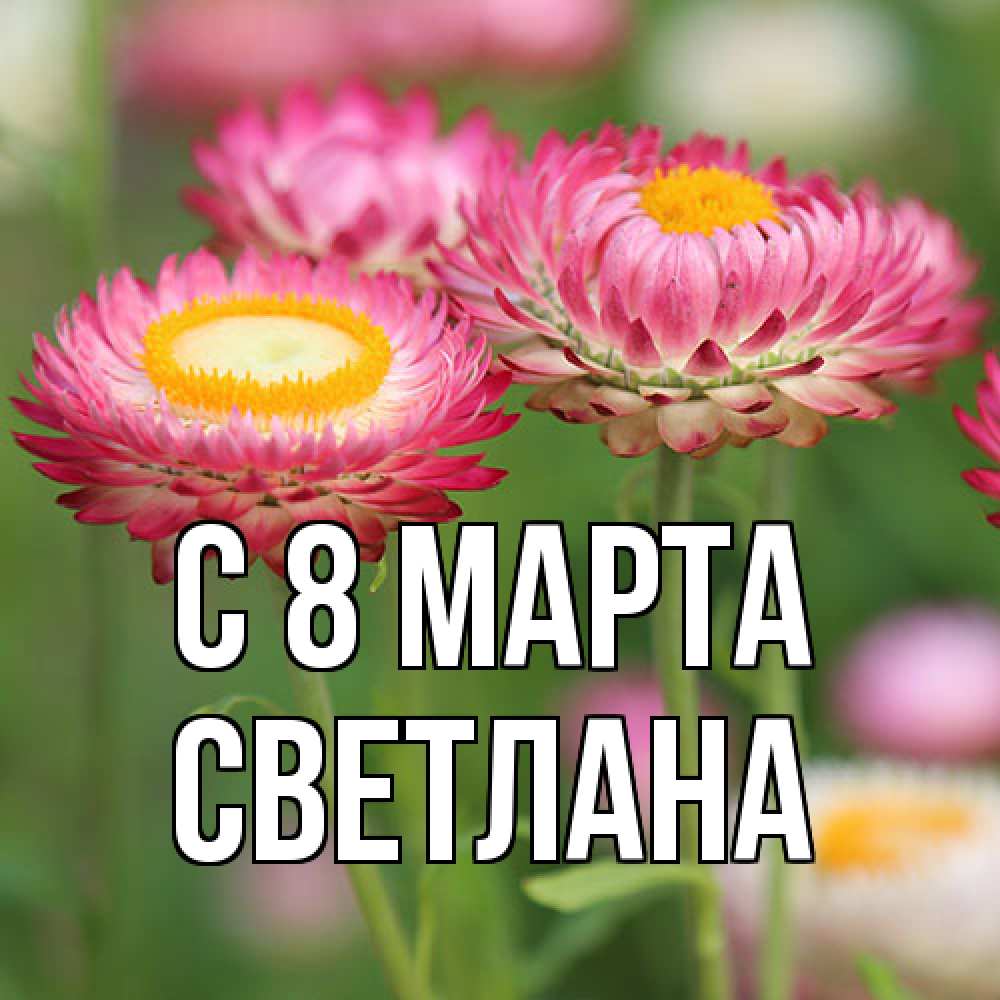 Открытка на каждый день с именем, Светлана C 8 МАРТА подарок на международный женский день Прикольная открытка с пожеланием онлайн скачать бесплатно 