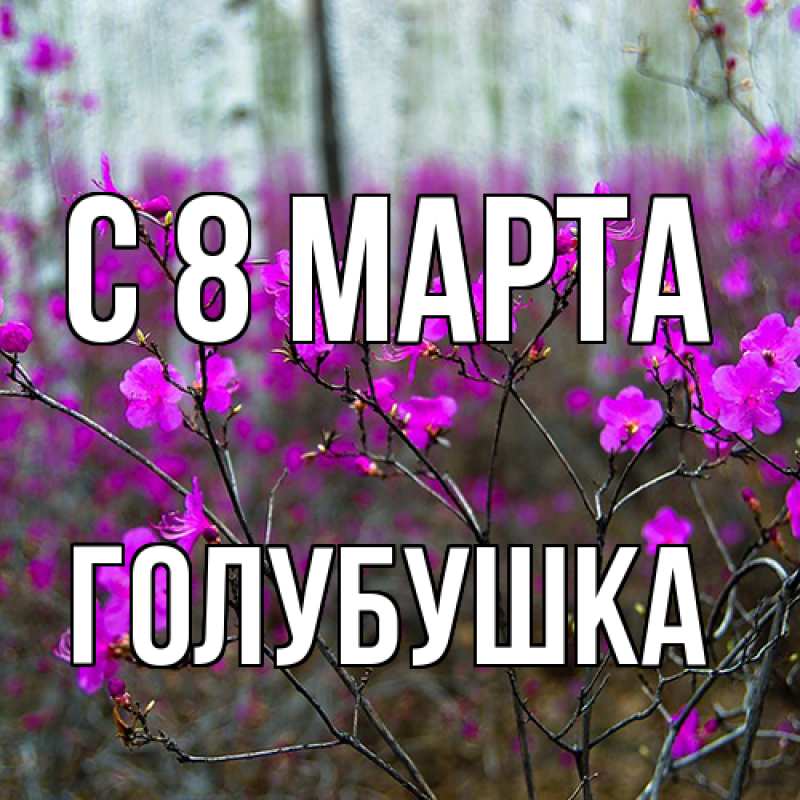 Картинка C 8 МАРТА, Голубушка