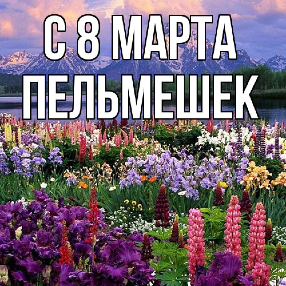 Открытка на каждый день с именем, пельмешек C 8 МАРТА международный женский день Прикольная открытка с пожеланием онлайн скачать бесплатно 