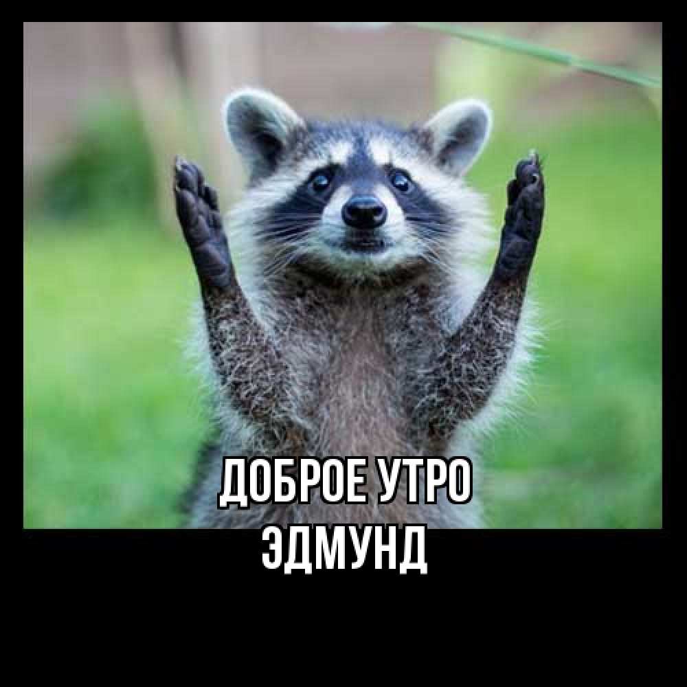 Открытка на каждый день с именем, Эдмунд Доброе утро хорошее настроение утречком Прикольная открытка с пожеланием онлайн скачать бесплатно 