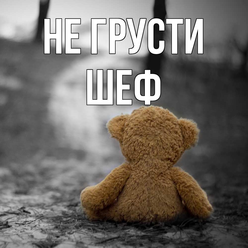Открытка на каждый день с именем, Шеф Не грусти медведь со спин Прикольная открытка с пожеланием онлайн скачать бесплатно 