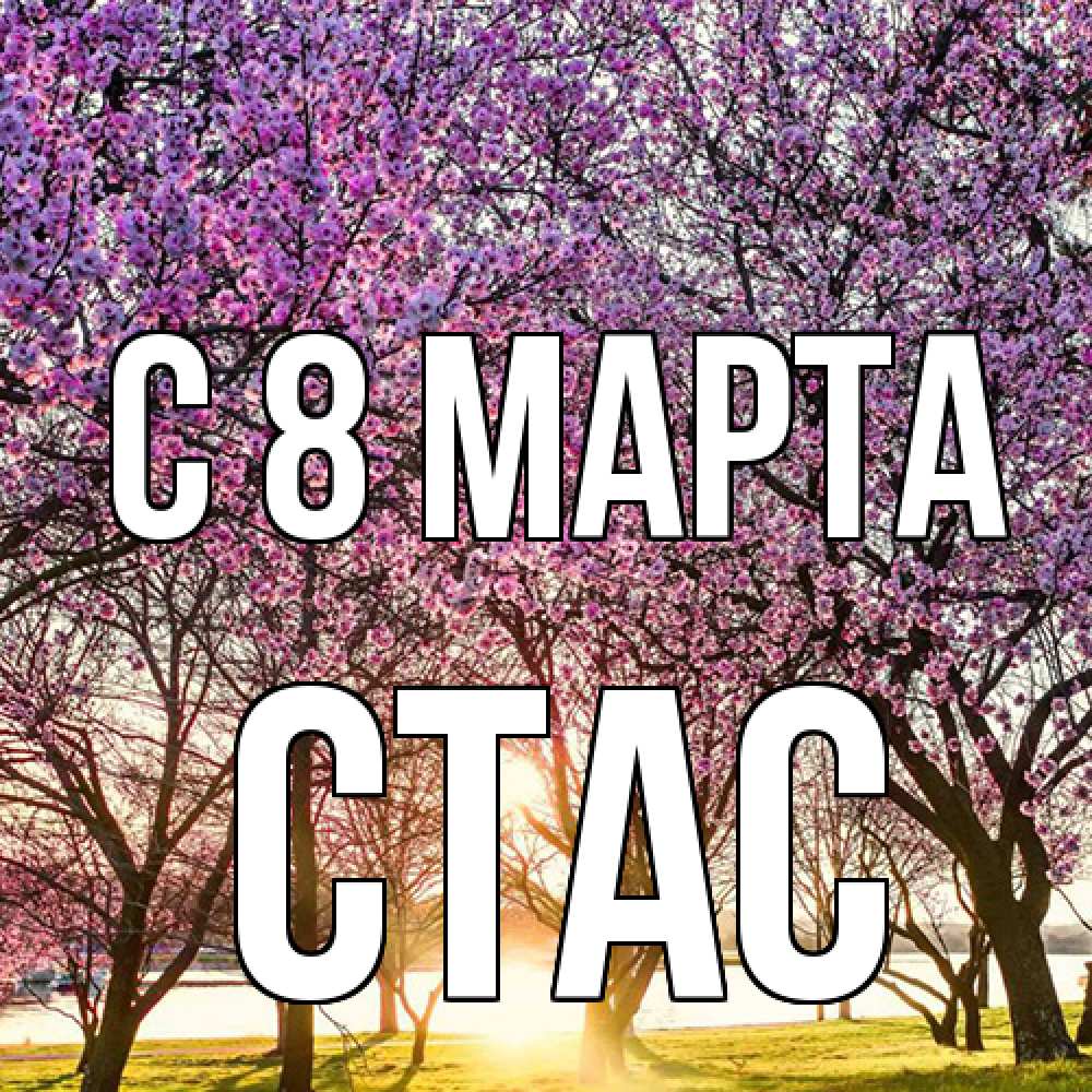 Открытка на каждый день с именем, Стас C 8 МАРТА международный женский день Прикольная открытка с пожеланием онлайн скачать бесплатно 