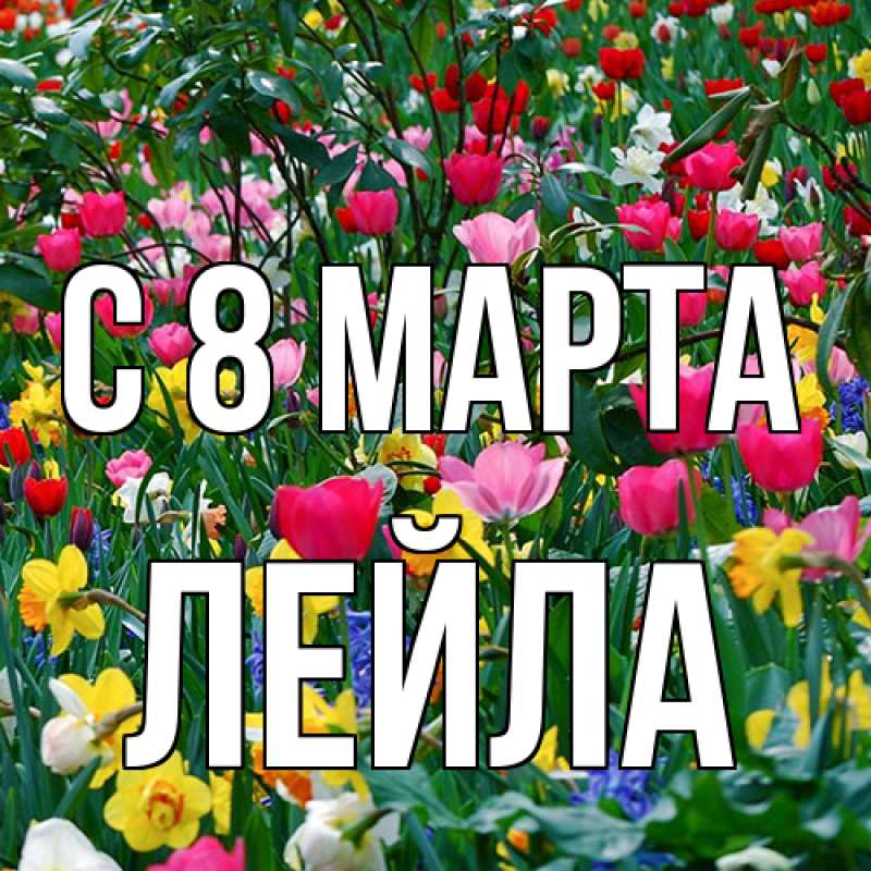 Картинка C 8 МАРТА, Лейла