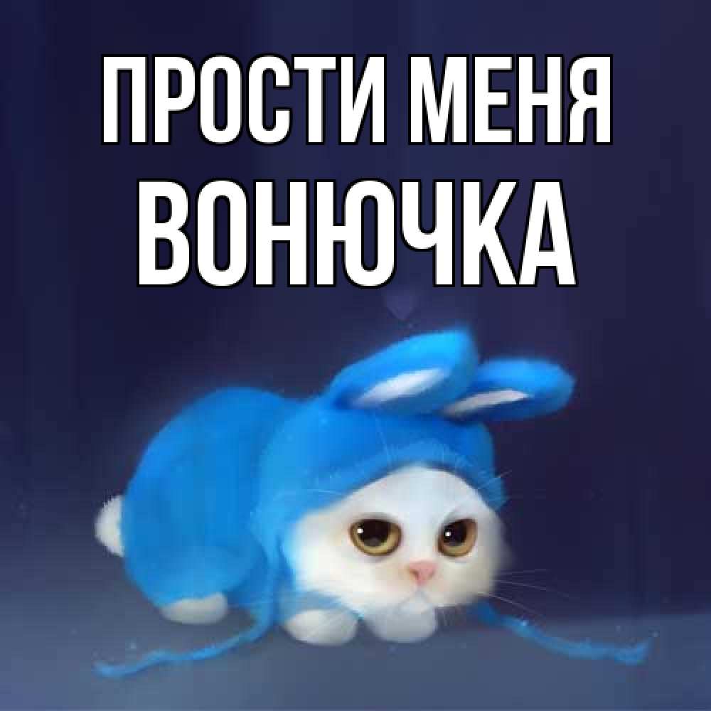 Открытка на каждый день с именем, Вонючка Прости меня невинный котозай просит прощения Прикольная открытка с пожеланием онлайн скачать бесплатно 