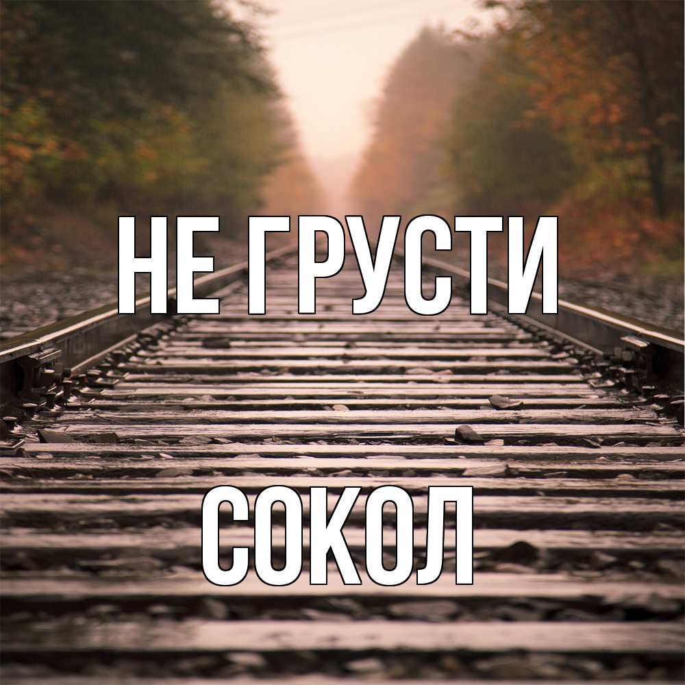 Открытка на каждый день с именем, Сокол Не грусти лес и железная дорога Прикольная открытка с пожеланием онлайн скачать бесплатно 