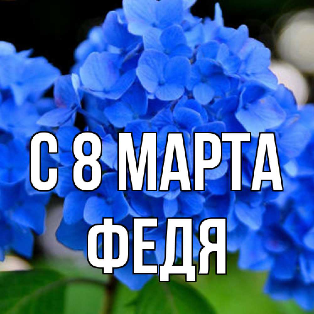 Открытка на каждый день с именем, Федя C 8 МАРТА синие цветы Прикольная открытка с пожеланием онлайн скачать бесплатно 
