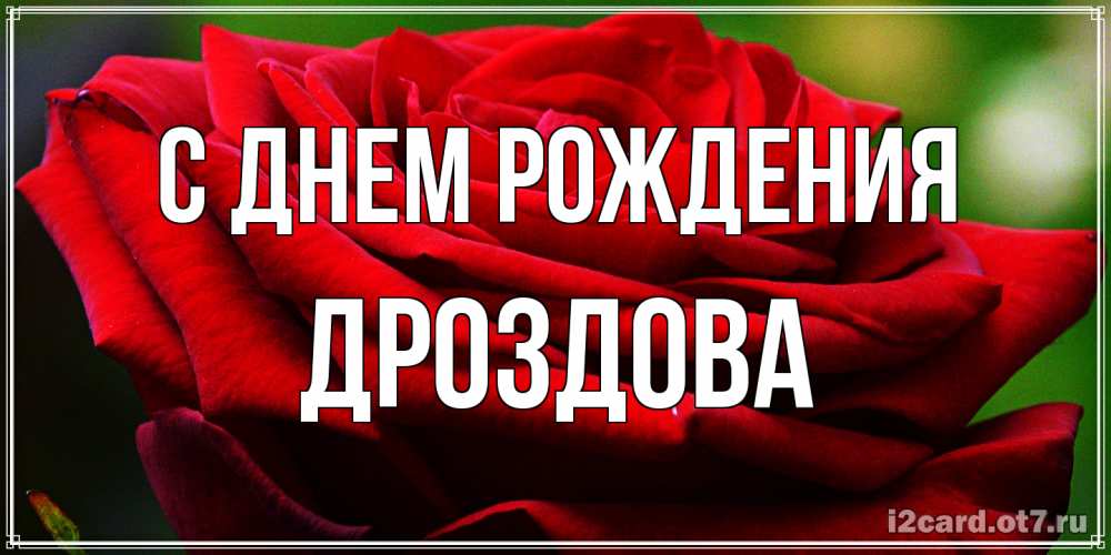 Открытка на каждый день с именем, Дроздова С днем рождения розочка очень красивая Прикольная открытка с пожеланием онлайн скачать бесплатно 