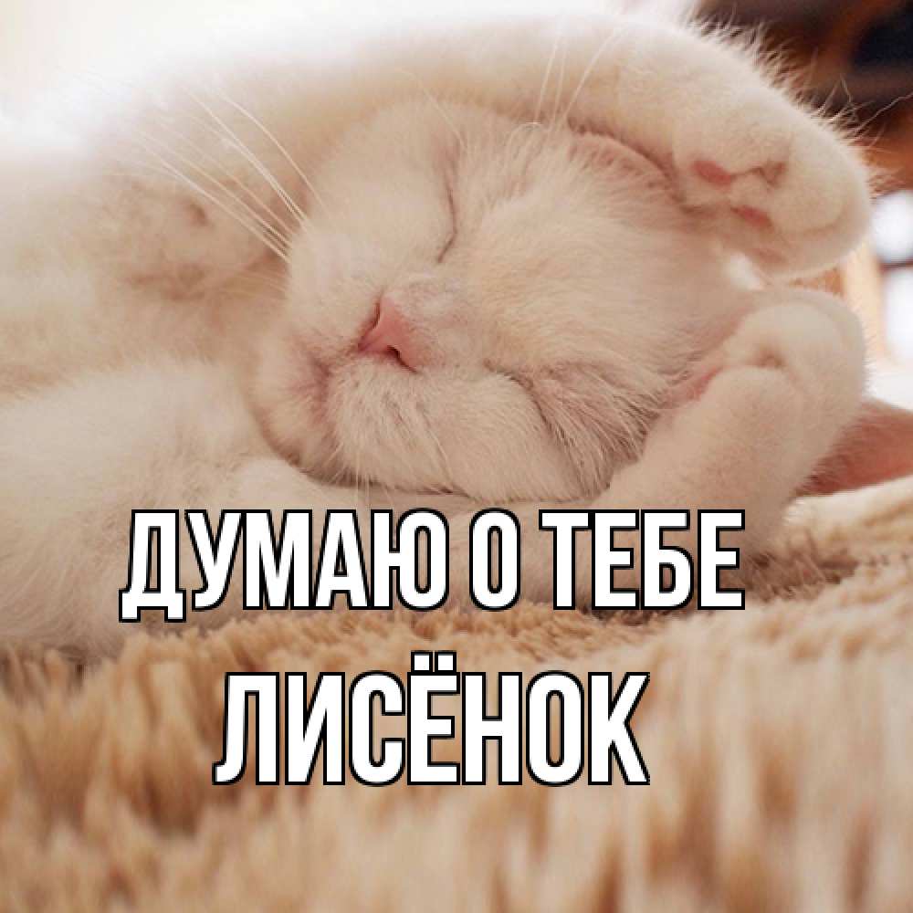 Открытка на каждый день с именем, Лисёнок Думаю о тебе для любимой девушки милота Прикольная открытка с пожеланием онлайн скачать бесплатно 