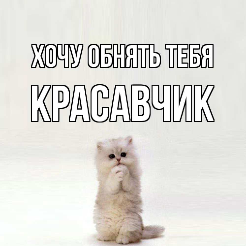 Открытка на каждый день с именем, Красавчик Хочу обнять тебя открытки с креативными подписями Прикольная открытка с пожеланием онлайн скачать бесплатно 