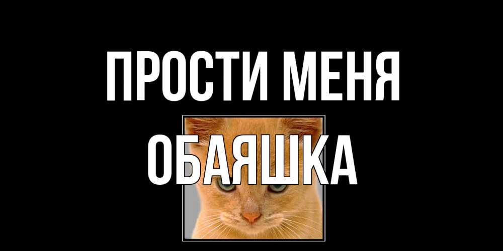 Открытка на каждый день с именем, обаяшка Прости меня рыжий грустный кот просит прощения Прикольная открытка с пожеланием онлайн скачать бесплатно 