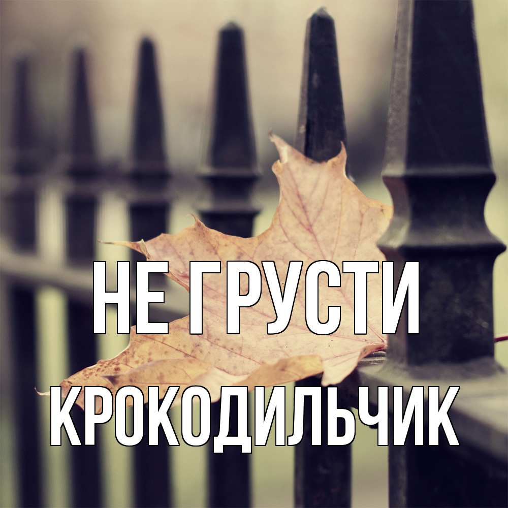 Открытка на каждый день с именем, Крокодильчик Не грусти лист клена Прикольная открытка с пожеланием онлайн скачать бесплатно 