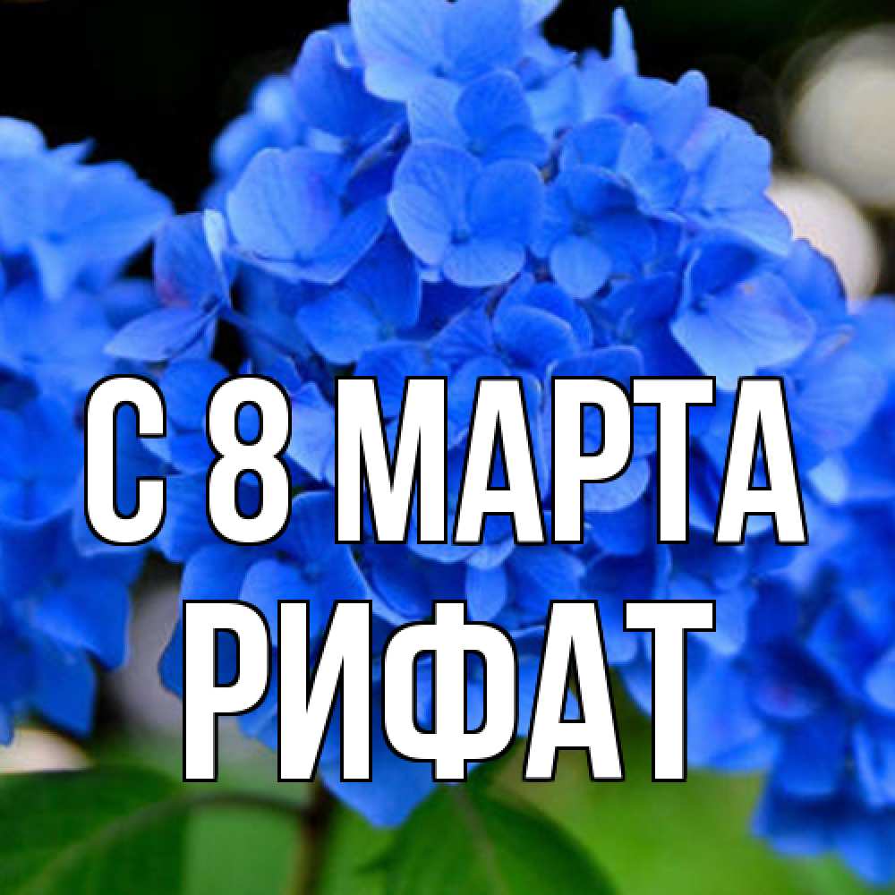 Открытка на каждый день с именем, Рифат C 8 МАРТА синие цветы Прикольная открытка с пожеланием онлайн скачать бесплатно 