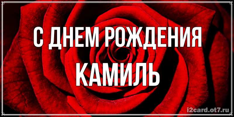 Картинка С днем рождения, Камиль