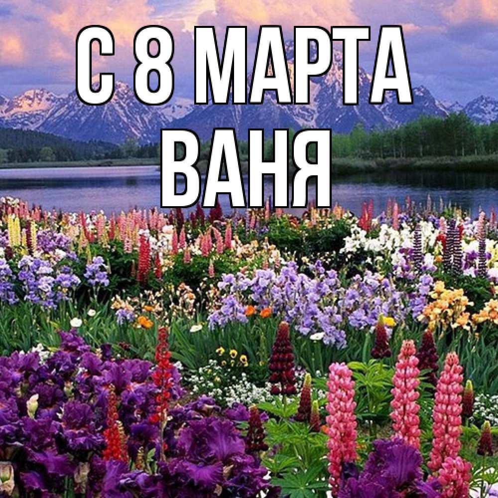 Открытка на каждый день с именем, Ваня C 8 МАРТА международный женский день Прикольная открытка с пожеланием онлайн скачать бесплатно 