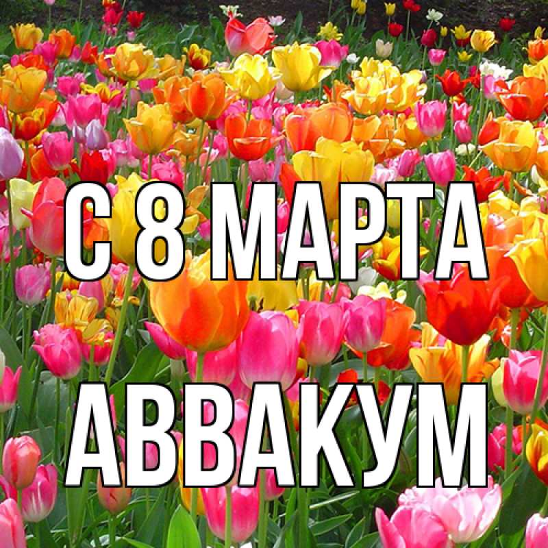 Картинка C 8 МАРТА, Аввакум