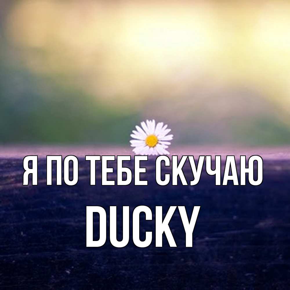 Открытка на каждый день с именем, Ducky Я по тебе скучаю приходи в гости Прикольная открытка с пожеланием онлайн скачать бесплатно 
