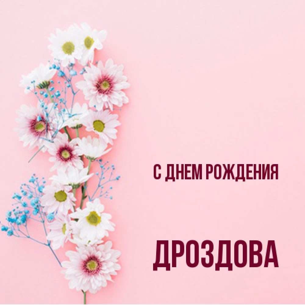 Открытка на каждый день с именем, Дроздова С днем рождения Родная моя с днем рождения тебя картинка с цветами белыми и голубыми Прикольная открытка с пожеланием онлайн скачать бесплатно 