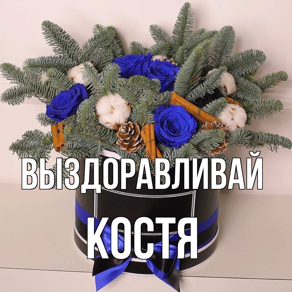 Открытка на каждый день с именем, Костя Выздоравливай короче кто то загрузил эти шишки Прикольная открытка с пожеланием онлайн скачать бесплатно 