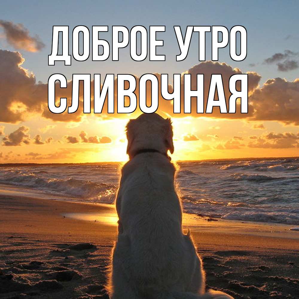 Открытка на каждый день с именем, Сливочная Доброе утро восход солнца Прикольная открытка с пожеланием онлайн скачать бесплатно 