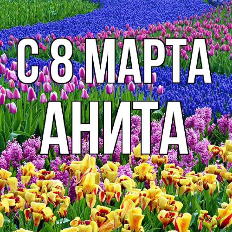 Картинка C 8 МАРТА, Анита