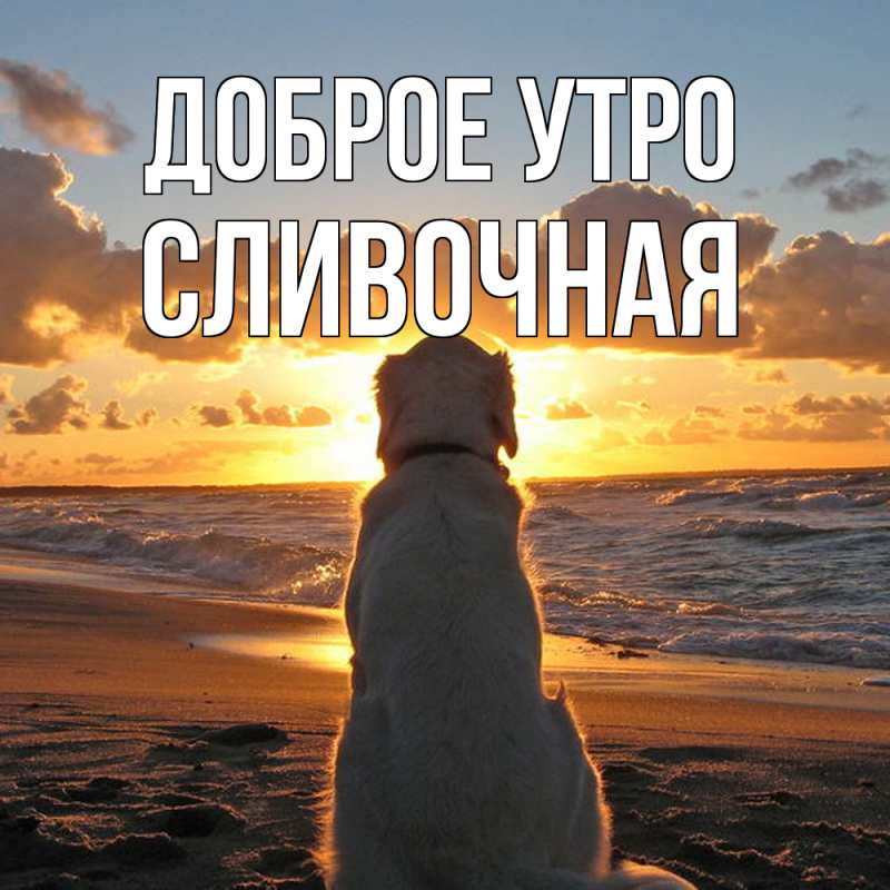 Картинка Доброе утро, Сливочная