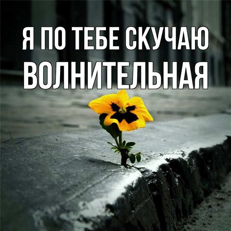 Картинка Я по тебе скучаю, волнительная