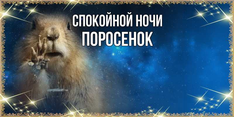 Картинка Спокойной ночи, Поросенок